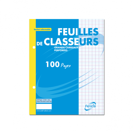 PAQUET DE 100 FEUILLES MOBILE PERFOREES  SEYES PM -...