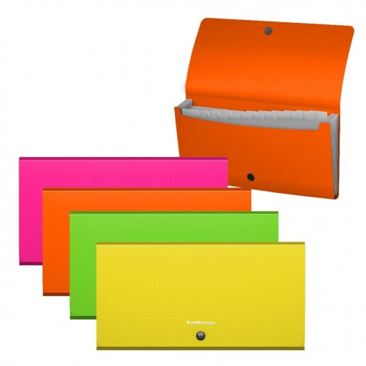 TRIEUR CHEQUIER 12 COMPARTIMENTS NEON - ERICHKRAUSE