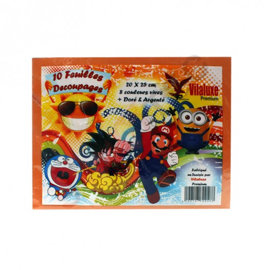 POCHETTE DE 10 F DECOUPAGE PM ADHESIVE 12.5*20CM
