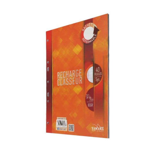 PAQUET DE 40 FEUILLES MOBILES PERFORES SEYES A4...