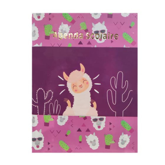AGENDA  SCOLAIRE FANTASY