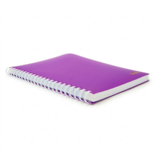 CAHIER WIREO PM 80GR 200P 17x22 - OSCAR