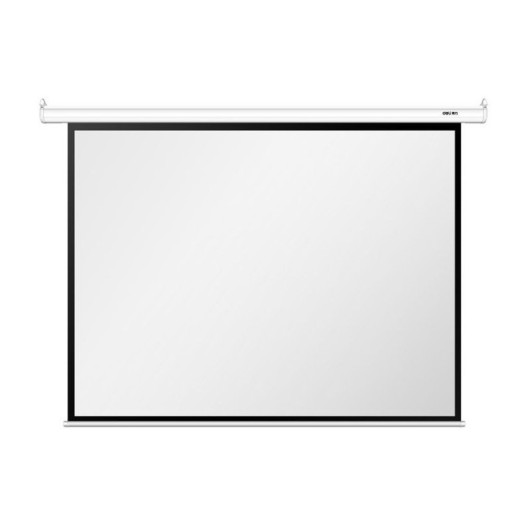 ECRAN DE PROJECTION MURAL- DELI