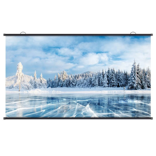 ECRAN DE PROJECTION MURAL E50448-DELI