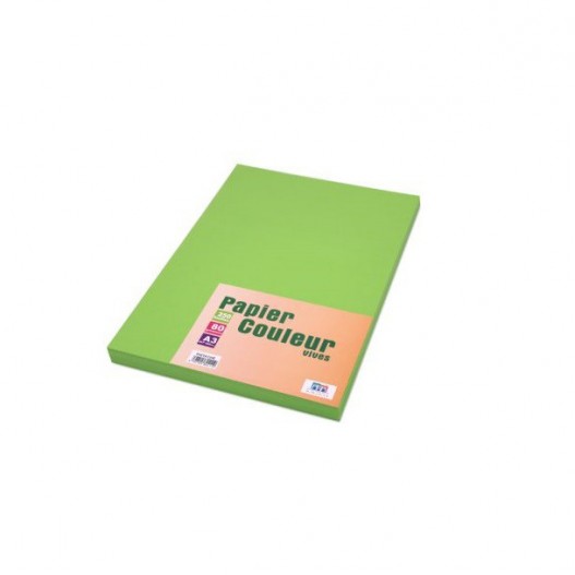 RAMETTE DE PAPIER VERT PASTEL A3 80GR