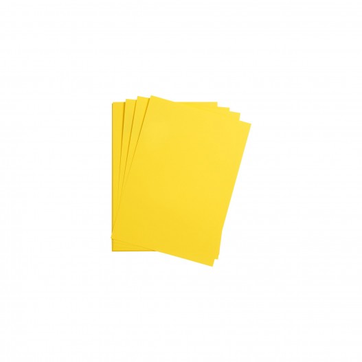 PAPIER DESSIN 160GR 50x65 JAUNE CITRON