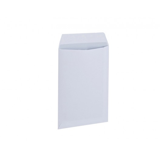 PACK DE 500 POCHETTE BLANCHE 17X26 CM STRIP - PIGNA