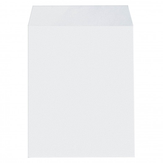 PACK DE 250 POCHETTE BLANCHE 30X40 STRIP 90GR