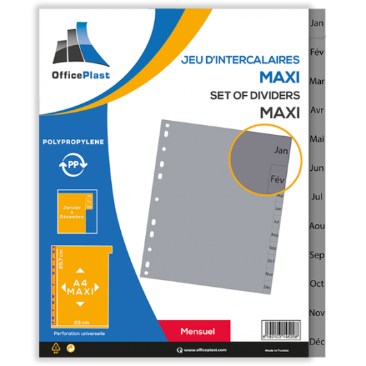 JEU DE 12 INTERCALAIRES MENSUEL A4 EN PP GREYSPLIT -...