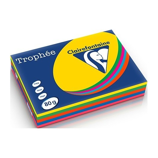 PAPIER COULEURS VIVES ASSORTIES A4 TROPHÉE - 80GR