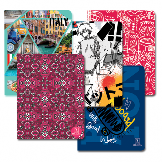 CAHIER N°48 PIQUE SEYES 17 x 22 - SELECTA 010