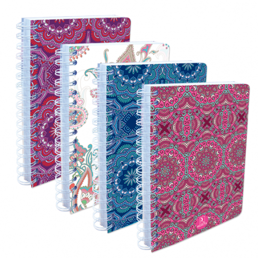 CAHIER AVEC SPIRALE GM 200 PAGES - SELECTA493
