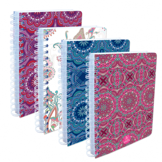 CAHIER AVEC SPIRALE PM 200 PAGES 17X22 CM- SELECTA493